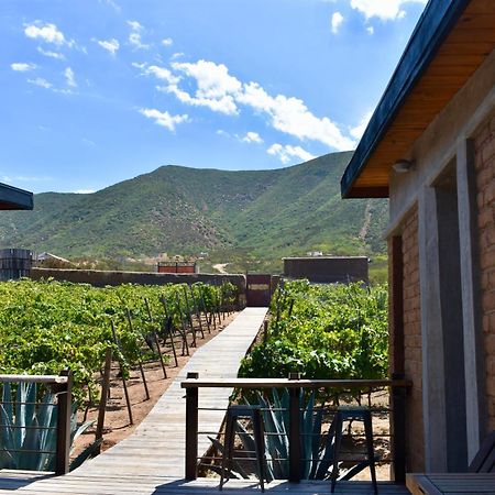 Uvauva Eco-Retreat Bed & Breakfast Valle de Guadalupe Luaran gambar