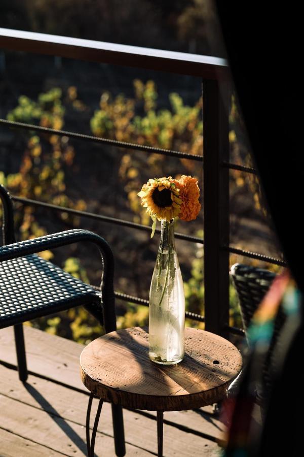 Uvauva Eco-Retreat Bed & Breakfast Valle de Guadalupe Luaran gambar