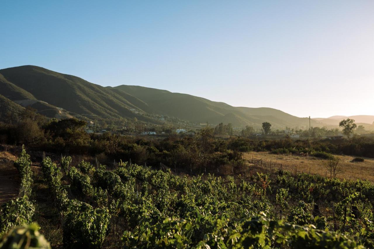 Uvauva Eco-Retreat Bed & Breakfast Valle de Guadalupe Luaran gambar