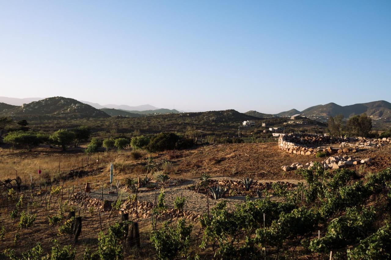Uvauva Eco-Retreat Bed & Breakfast Valle de Guadalupe Luaran gambar