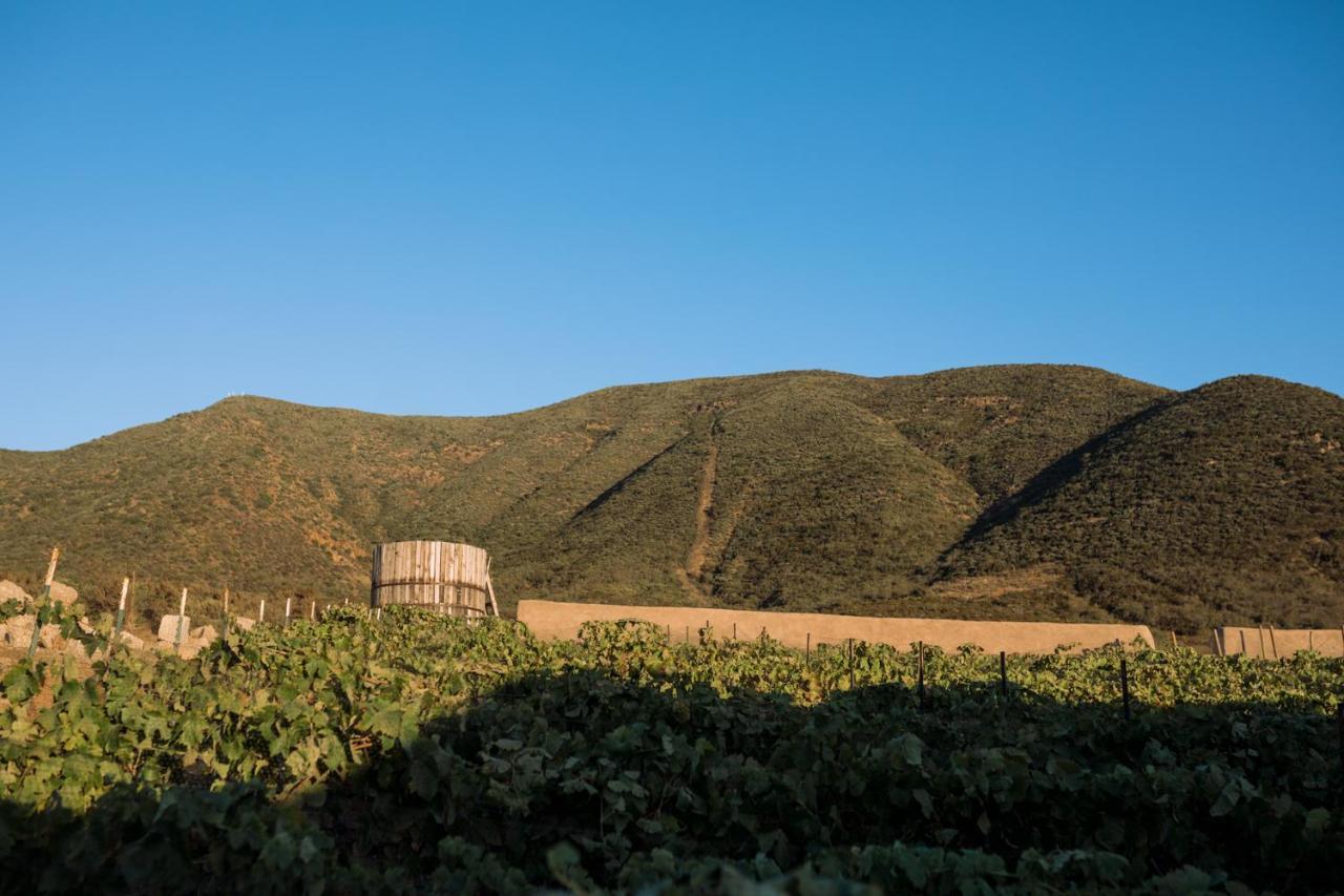 Uvauva Eco-Retreat Bed & Breakfast Valle de Guadalupe Luaran gambar