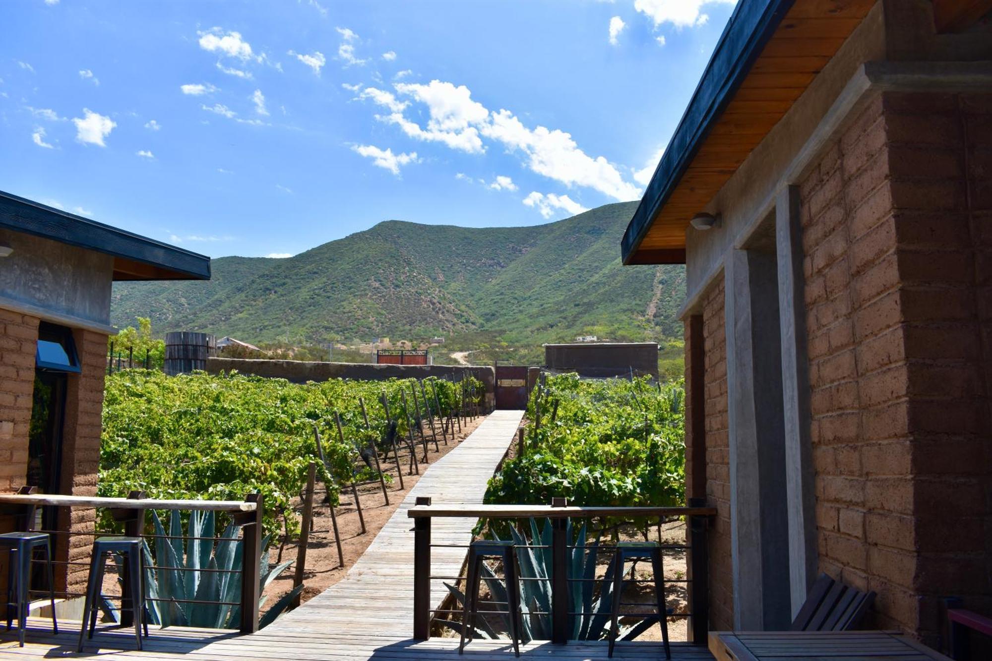 Uvauva Eco-Retreat Bed & Breakfast Valle de Guadalupe Luaran gambar