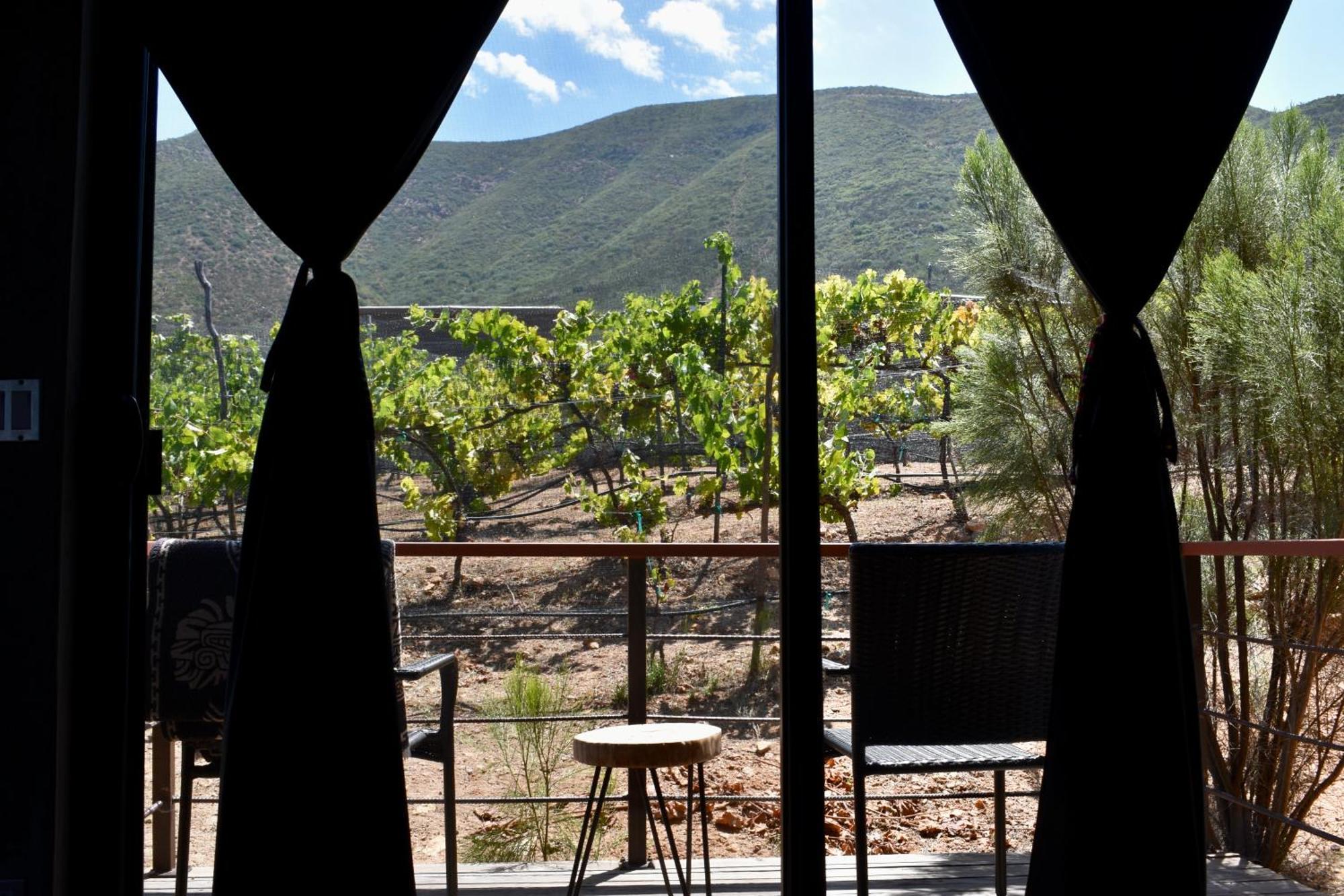 Uvauva Eco-Retreat Bed & Breakfast Valle de Guadalupe Luaran gambar