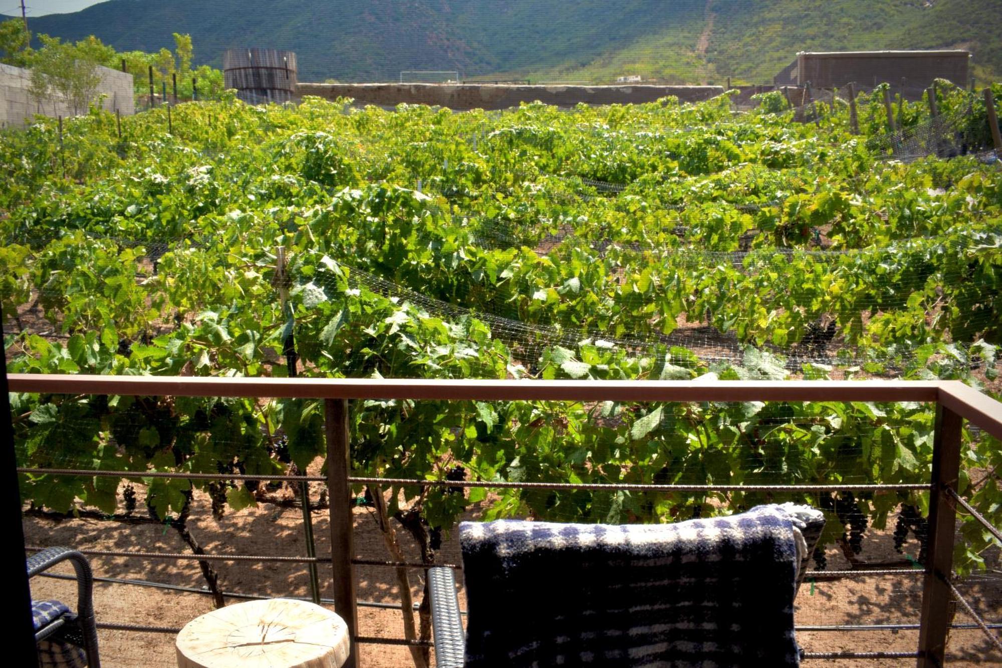 Uvauva Eco-Retreat Bed & Breakfast Valle de Guadalupe Luaran gambar