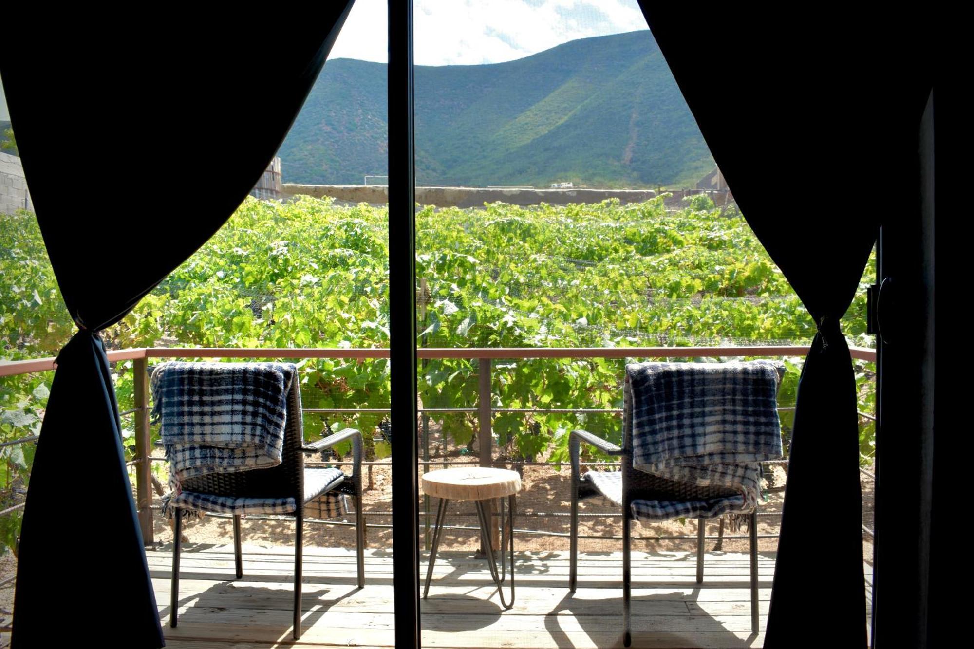 Uvauva Eco-Retreat Bed & Breakfast Valle de Guadalupe Luaran gambar