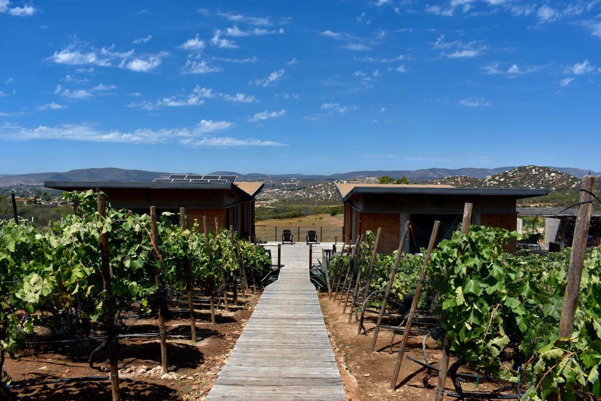 Uvauva Eco-Retreat Bed & Breakfast Valle de Guadalupe Luaran gambar