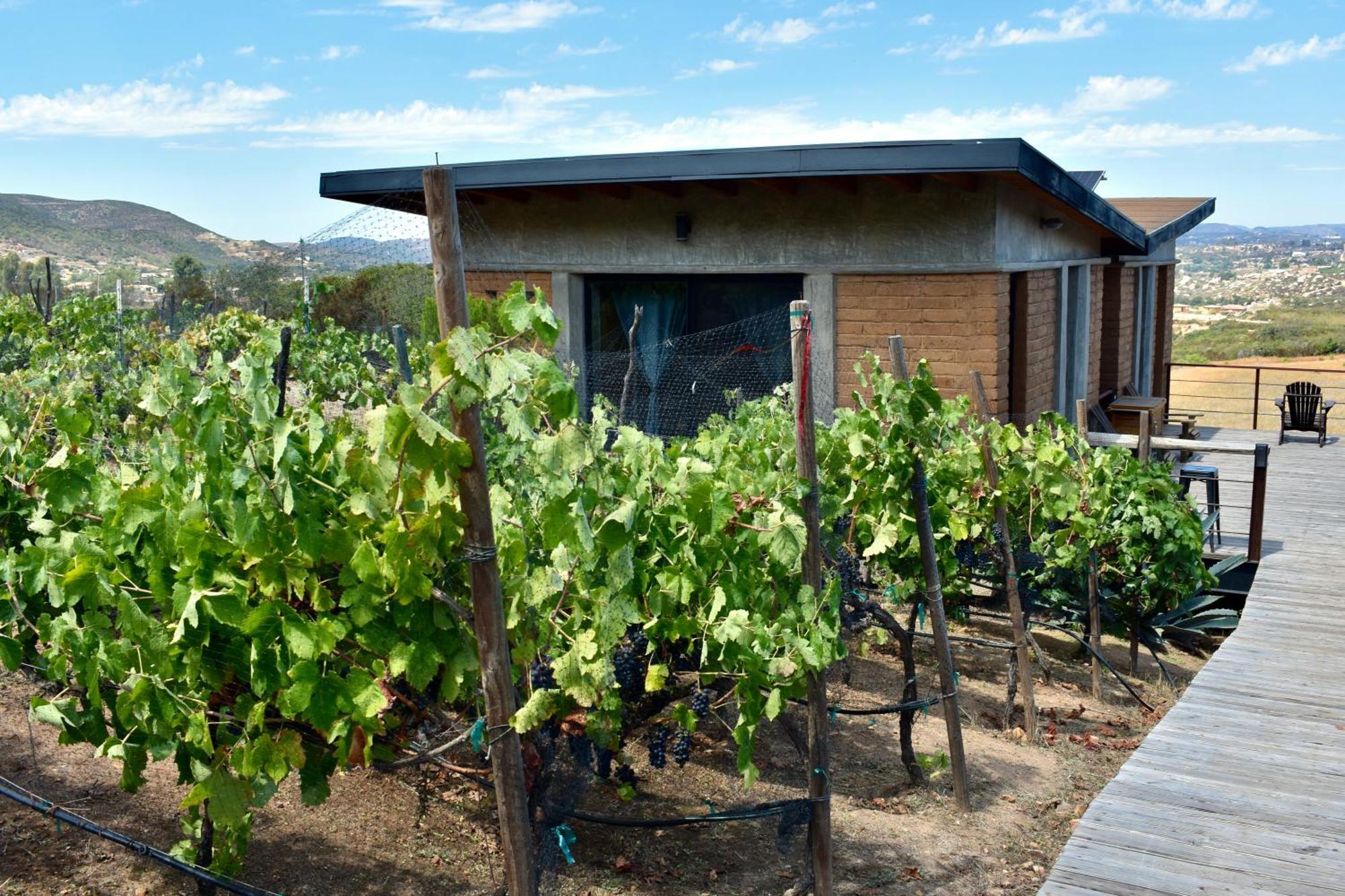 Uvauva Eco-Retreat Bed & Breakfast Valle de Guadalupe Luaran gambar
